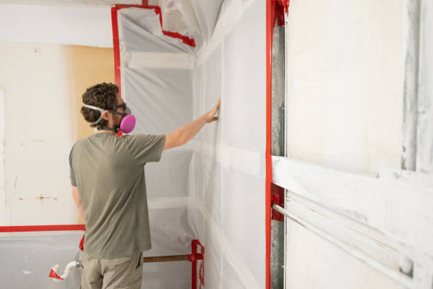 Mold Remediation for Rental Properties in Bowman, ND